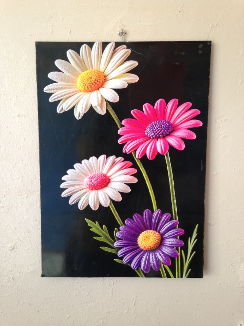 Daisy Flowers Art Print