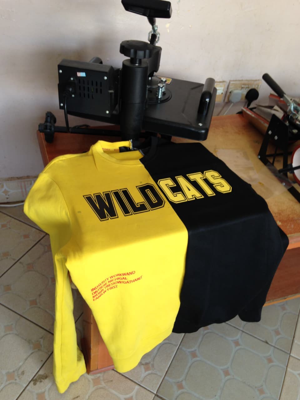 Wildcats Hoodie (Front)